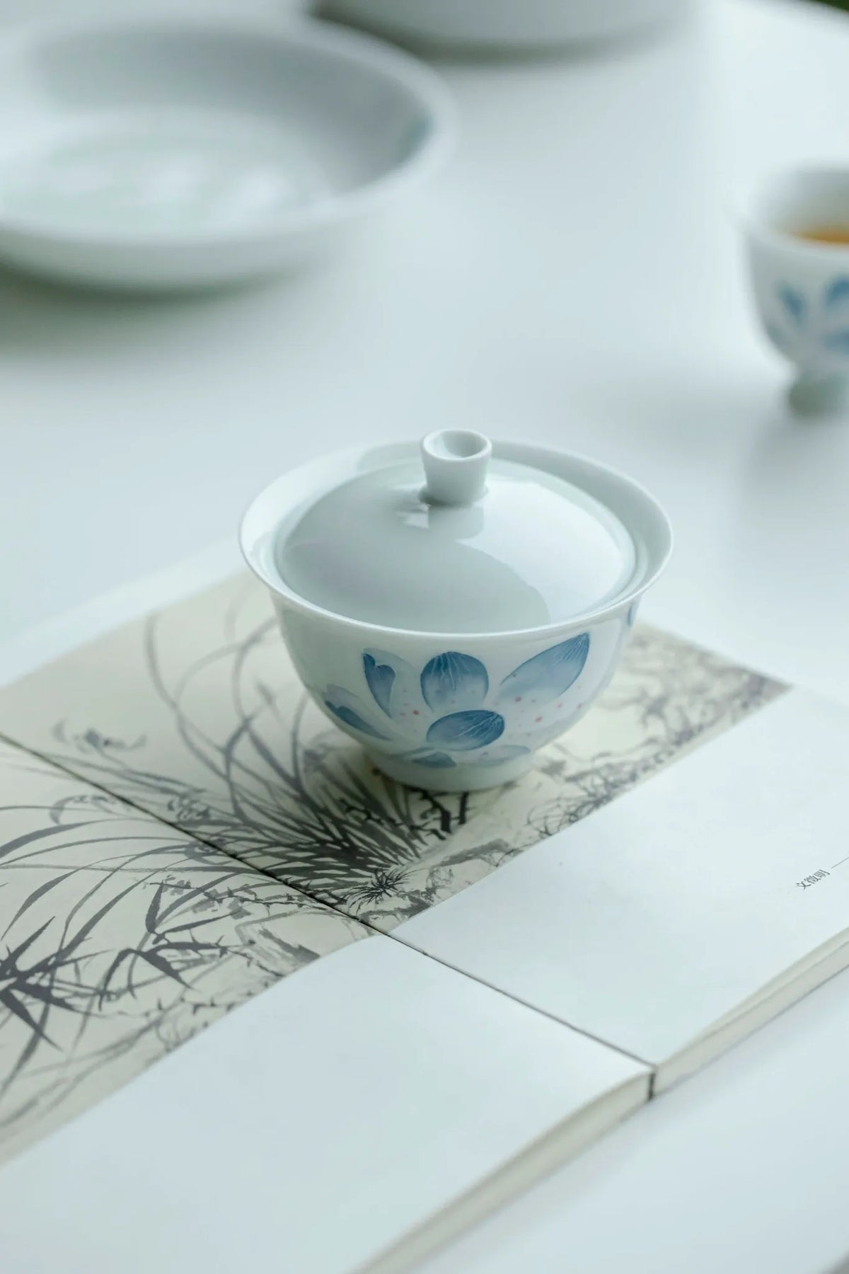 Gaiwan de porcelana Arita – Esmalte Qingyá (145 ml)